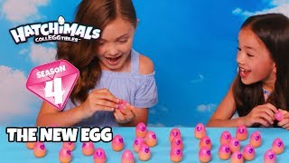 Hatchimals CollEGGtibles Season 4  Ch 2 The New Egg [upl. by Faucher]