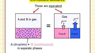 Phases for Immiscible Liquids [upl. by Livesay256]