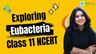 Eubacteria explained  Class 11 NCERT Biology [upl. by Arata224]