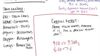 Mixed and Central Venous Oxygen [upl. by Eirac]