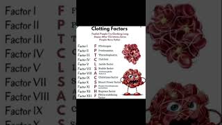 clotting Factors of Blood clotting Factors [upl. by Sulrac]