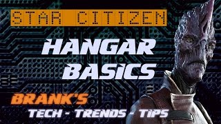 Star Citizen  Hangar Basics [upl. by Petuu]