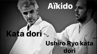 Aikido  Ushiro ryo kata dori  kata dori by Bruno Gonzalez [upl. by Anohs]