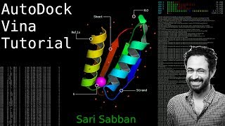 AutoDock Vina Tutorial [upl. by Enelyt]