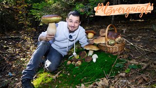 Im Wald der RiesenRöhrlinge 💪 Gigantische Steinpilze Hexen und viele PilzBabys [upl. by Tedder793]