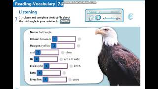 Excel 5 Module 7 p87 ex7 The Bald Eagle Listening [upl. by Pisarik214]