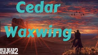 Red Dead Redemption 2 Cedar Waxwing [upl. by Inttirb]