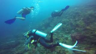 bequia dive dec 2022 with Dive Bequia [upl. by Stillmann533]