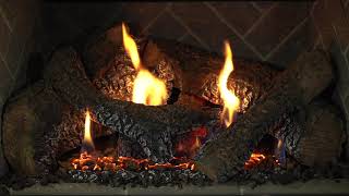 Heat amp Glo® Supreme Gas Fireplace Insert [upl. by Aivizt]