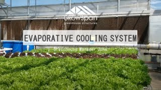 Evaporative Cooling Systems – GrowSpan Greenhouse Tips [upl. by Orling303]