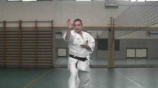 Wado Ryu Kata Bassaimpg [upl. by Sert]