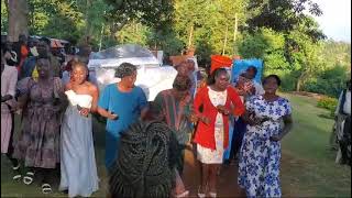 luhya wedding dance 🩰by Micah Wanyenje niamshe tucheze pole pole 🎣 [upl. by Knapp]