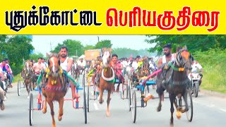 2புதுக்கோட்டை மச்சுவாடி பெரியகுதிரை பந்தயம் 1122024 [upl. by Lipski]