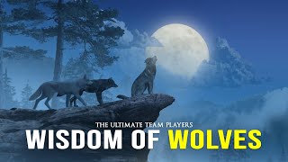 Wisdom Of The Wolves  Best Motivational Video [upl. by Arthur]