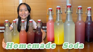 Kate’s Recipe Homemade Soda [upl. by Alle524]