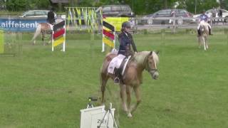 Ankündigung der Verkaufspferde Gunzenhausen 2017 [upl. by Albrecht]