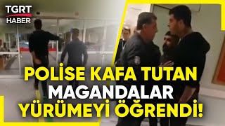 Polise Kafa Tutan Magandalar Yürümeyi Öğrendi  TGRT Haber [upl. by Iinden]