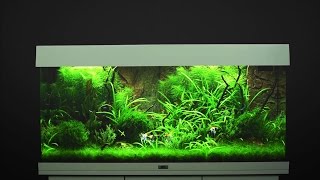 Aquarium einrichten JUWEL Rio 180  Tutorial [upl. by Elboa]