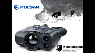 Viel Anblick mit der Pulsar Accolade 2 LRF XP50 Pro Wärmebildkamera [upl. by Eidnak]