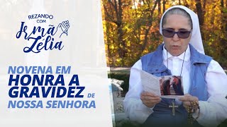 Reze com Irmã Zélia a Novena em Honra a Gravidez de Nossa Senhora [upl. by Hagile]