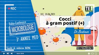 14  Cocci à gram positif [upl. by Anele]