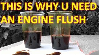 How to FLUSH engine OIL with LIQUI MOLY ENGINE FLUSH [upl. by Ylrbmik]