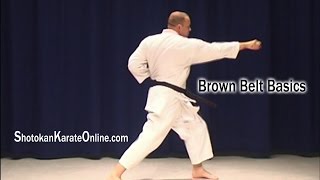 Shotokan Karate Syllabus Brown Belt Basics [upl. by Mahseh]