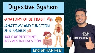 anatomy of gi tract with special reference to anatomy and function of stomach  digestive system [upl. by Joleen]