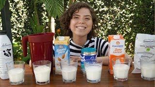 QUAL É O MELHOR LEITE  Uht Pasteurizado Sem Lactose  MARINA MORAIS [upl. by Aierdna993]