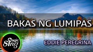 MAGICSING Karaoke EDDIE PEREGRINA  BAKAS NG LUMIPAS karaoke  Tagalog [upl. by Hgielrahc304]