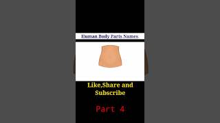 Human body parts name  part 4 bodyparts english [upl. by Corsetti]