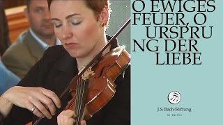 JS Bach  Cantata BWV 34 quotO ewiges Feuer o Ursprung der Liebequot J S Bach Foundation [upl. by Aiela507]