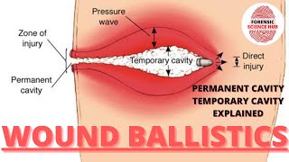 Wound ballistics  Temporary and permanent cavity  Forensic ballistics [upl. by Neom]