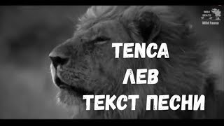 TENCA  Лев Субтитры\Текст песни [upl. by Bena337]