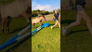 Woopsy… 😅🐴 equestrian pony funny cute shetland rider horse [upl. by Gans]