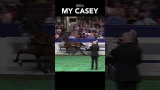 Kentucky State Fair Roadster Worlds Grand Champion My Casey  Mid Ohio Memorial Trotting Sale [upl. by Stilu]