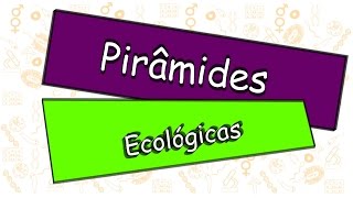 Pirâmides ecológicas Pirâmides tróficas [upl. by Retsbew]