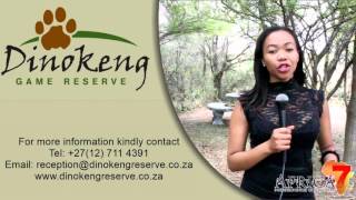 Dinokeng Game Reserve  Business Card  Africa 7 [upl. by Flanagan564]