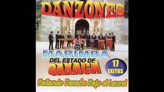 Marimba Del Estado De Oaxaca  Danzones Disco Completo [upl. by Kalvn620]