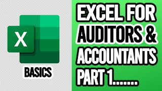 Excel Basics and Formatting for Accounting and Finance Part 1 [upl. by Haleehs]