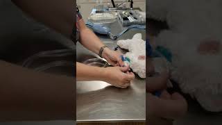 IV Flush How to Flush an IV Line Cannula Catheter Saline Lock Nursing Skill [upl. by Yenitirb]