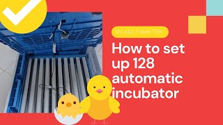 Top 5 Best Egg Incubators Reviews for 2024 [upl. by Dedie]