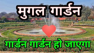 Mughal Garden  मुगल गार्डन दिल्ली  The Divine India [upl. by Jilly]