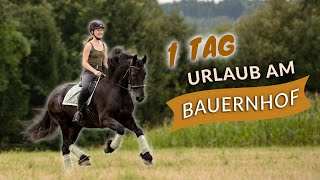 1 TAG PFERDEURLAUB 🌾 Stoppelfeld  VLOG 80 [upl. by Iggam789]