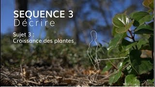 Séquence 3 sujet 3  Croissance des plantes [upl. by Eitteb]