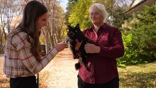 These Montana cats have a message get out and vote [upl. by Hillard]