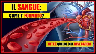 Il Sangue Cosè e da quali cellule è composto Globuli rossi bianchi piastrine e il plasma [upl. by Sac830]