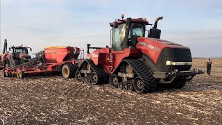 Case IH Quadtrac 600  Magnum 400AFS RT seed wheat 🌾 with Vaderstad Rapid 800J600S [upl. by Araid]