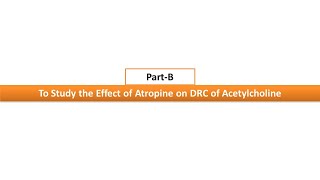 08To Study the Effect of Atropine on DRC of AcetylcholineExpt No06PartB [upl. by Raouf]