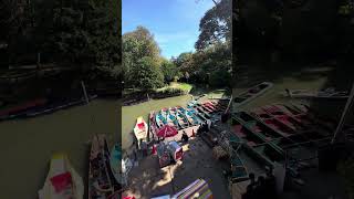 Oxford Punting from Magdalen Bridge [upl. by Ahsinar]